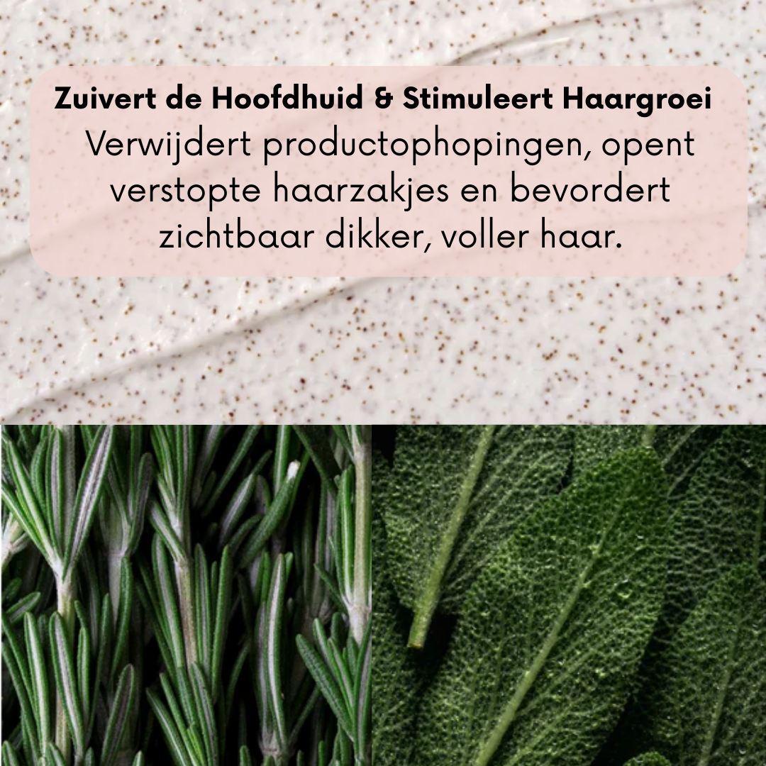 Natuurlijke Hoofdhuid Scrub - Rozemarijn & Munt |