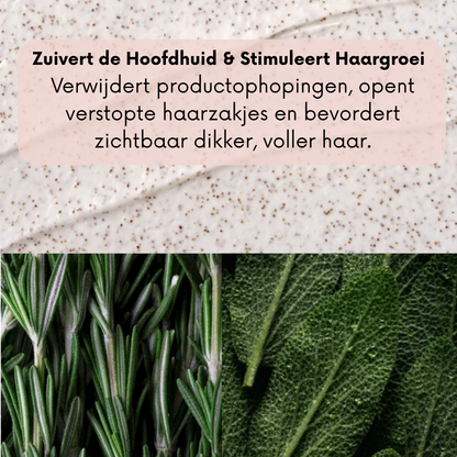 Natuurlijke Hoofdhuid Scrub - Rozemarijn & Munt |